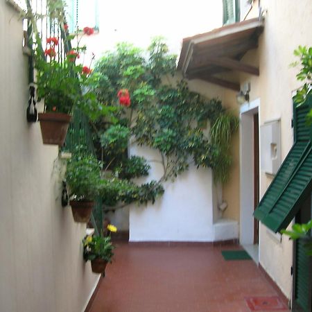 Hotel Anselmi Марчиана-Марина Экстерьер фото
